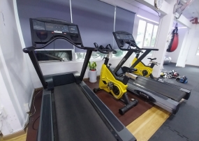 Học võ bài bản – tập luyện an toàn